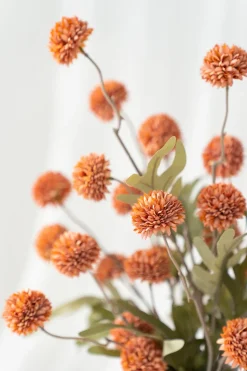 Pompon Mum with Stem