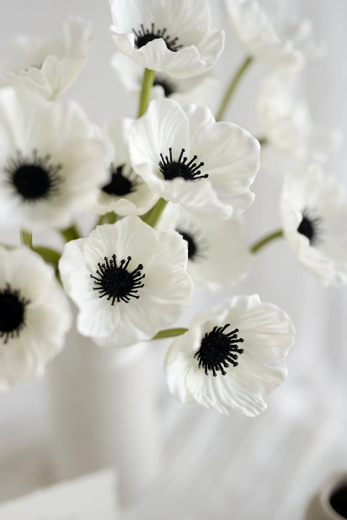 Poppy with Stem