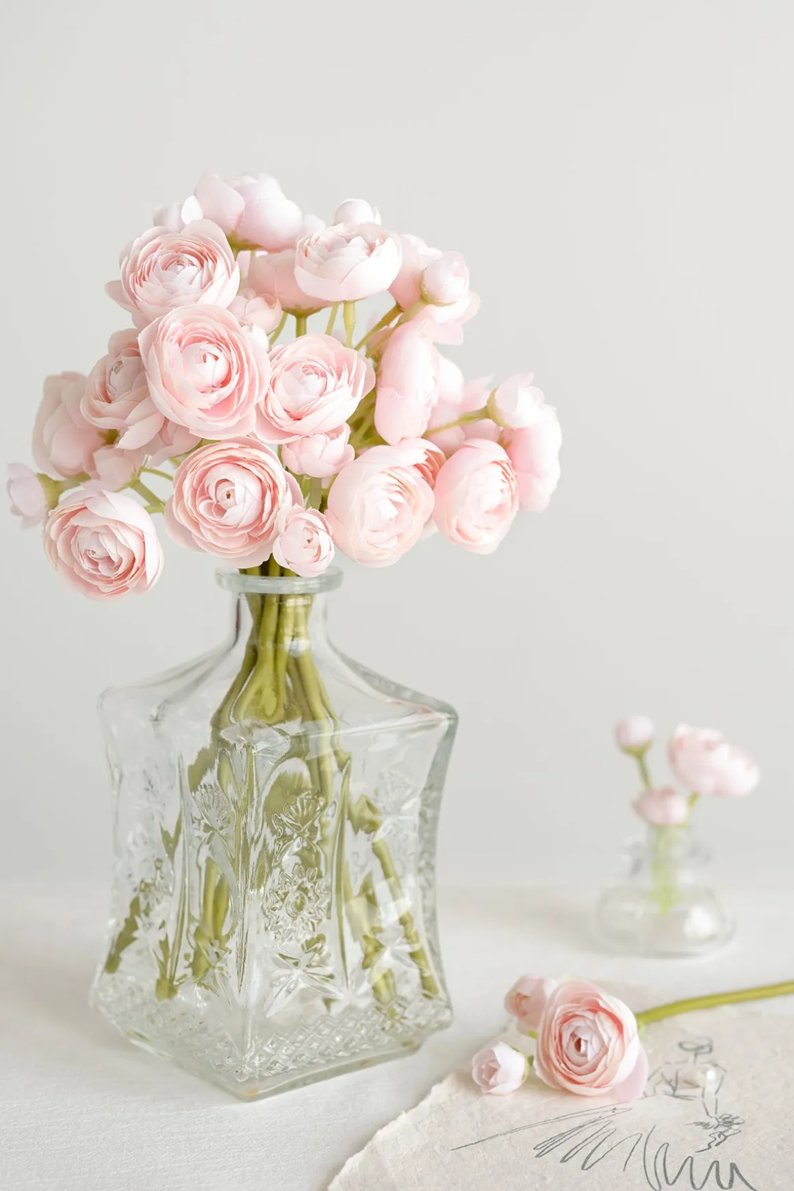 Ranunculus Flowers with Stem