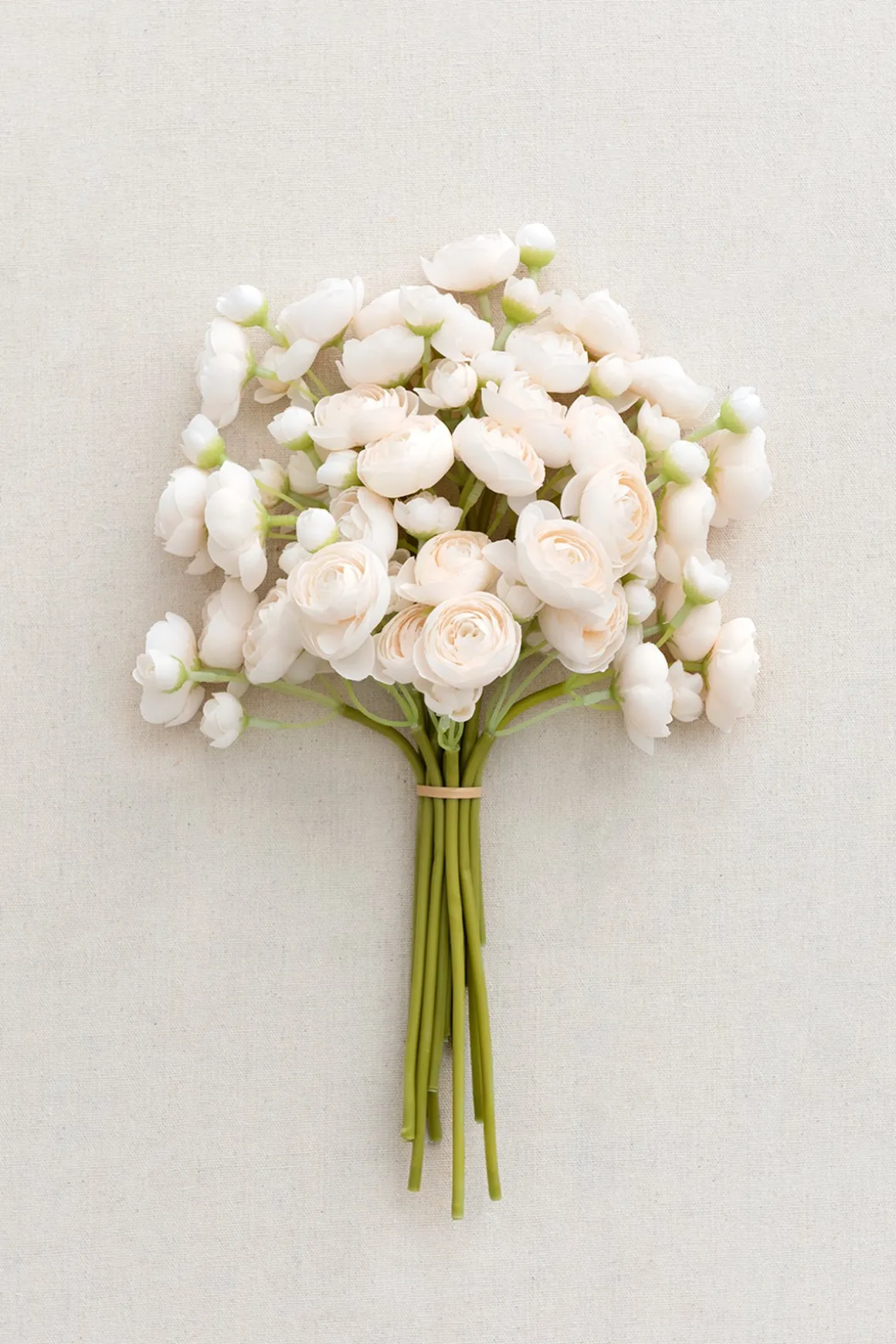 Ranunculus Flowers with Stem