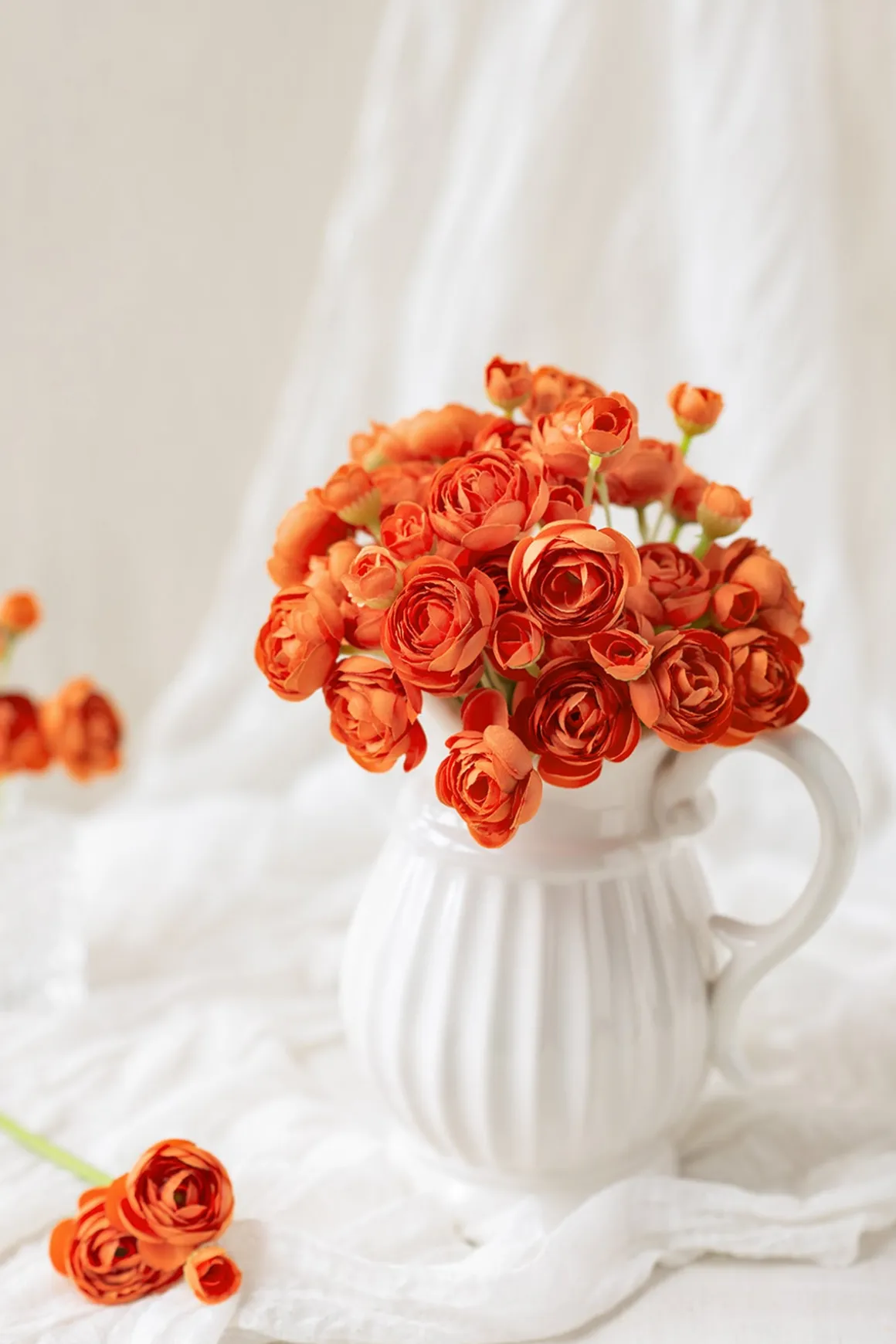 Ranunculus Flowers with Stem