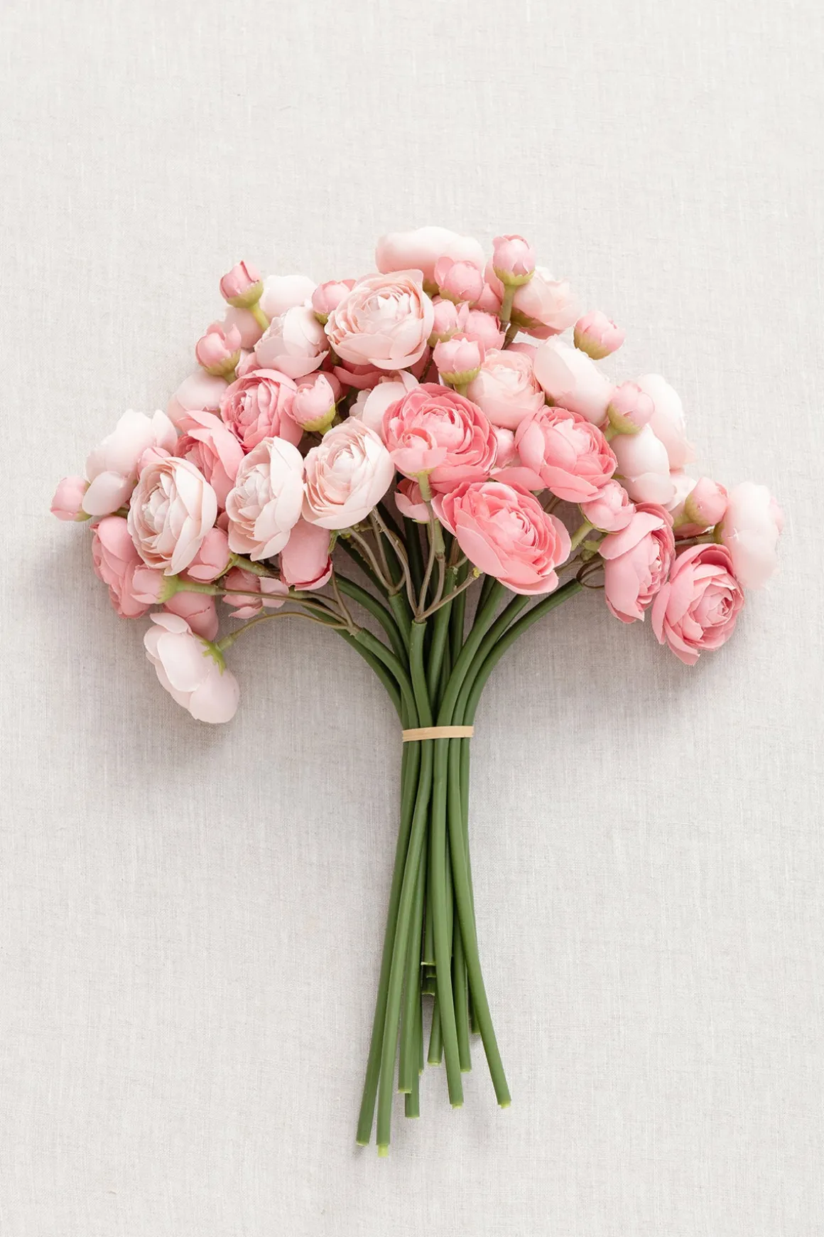 Ranunculus Flowers with Stem