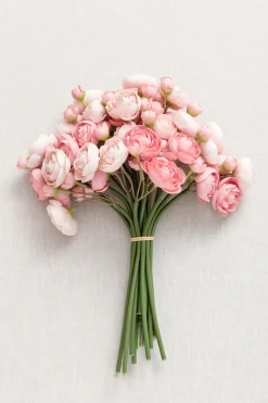 Ranunculus Flowers with Stem