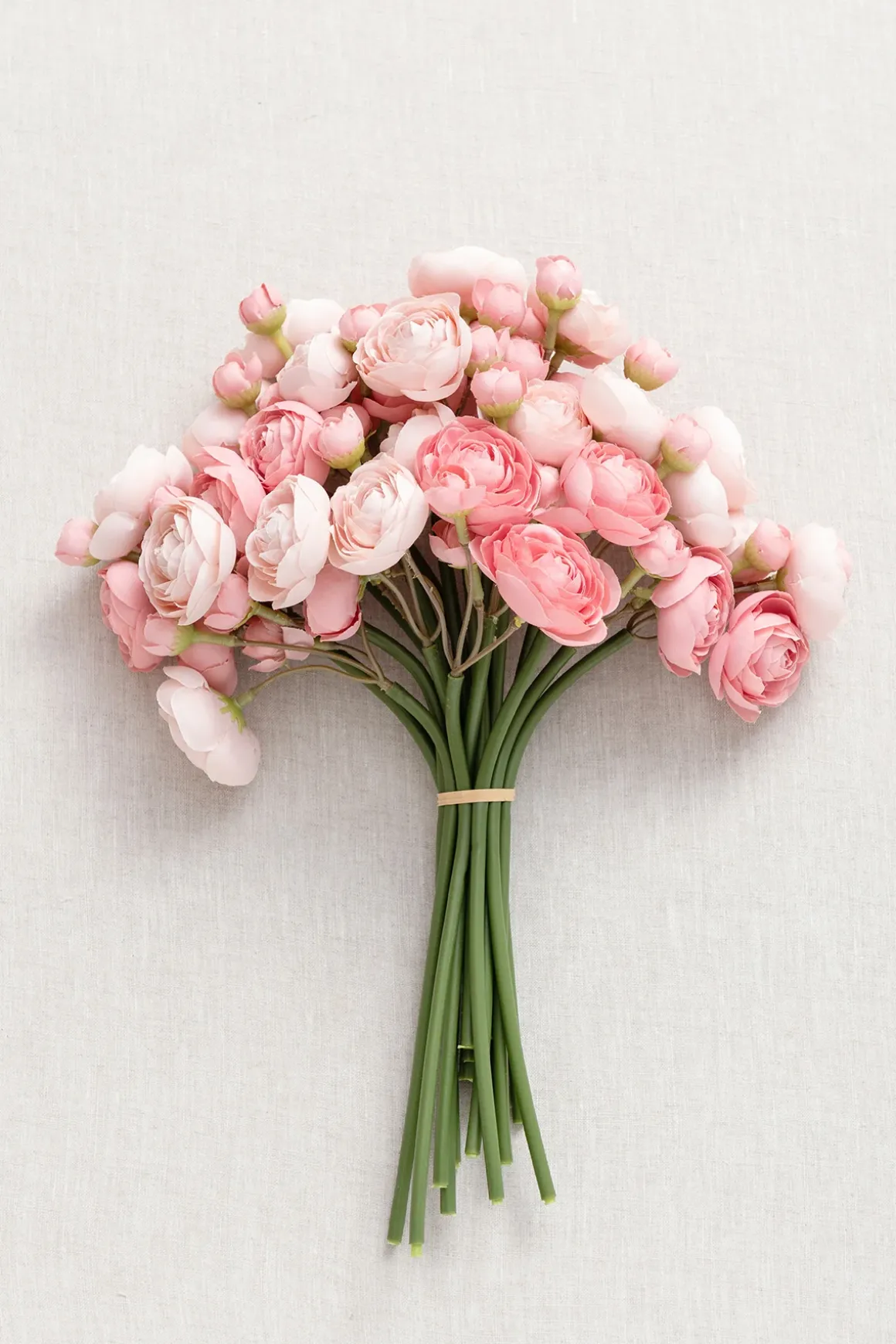 Ranunculus Flowers with Stem