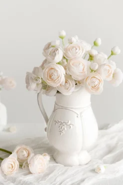 Ranunculus Flowers with Stem