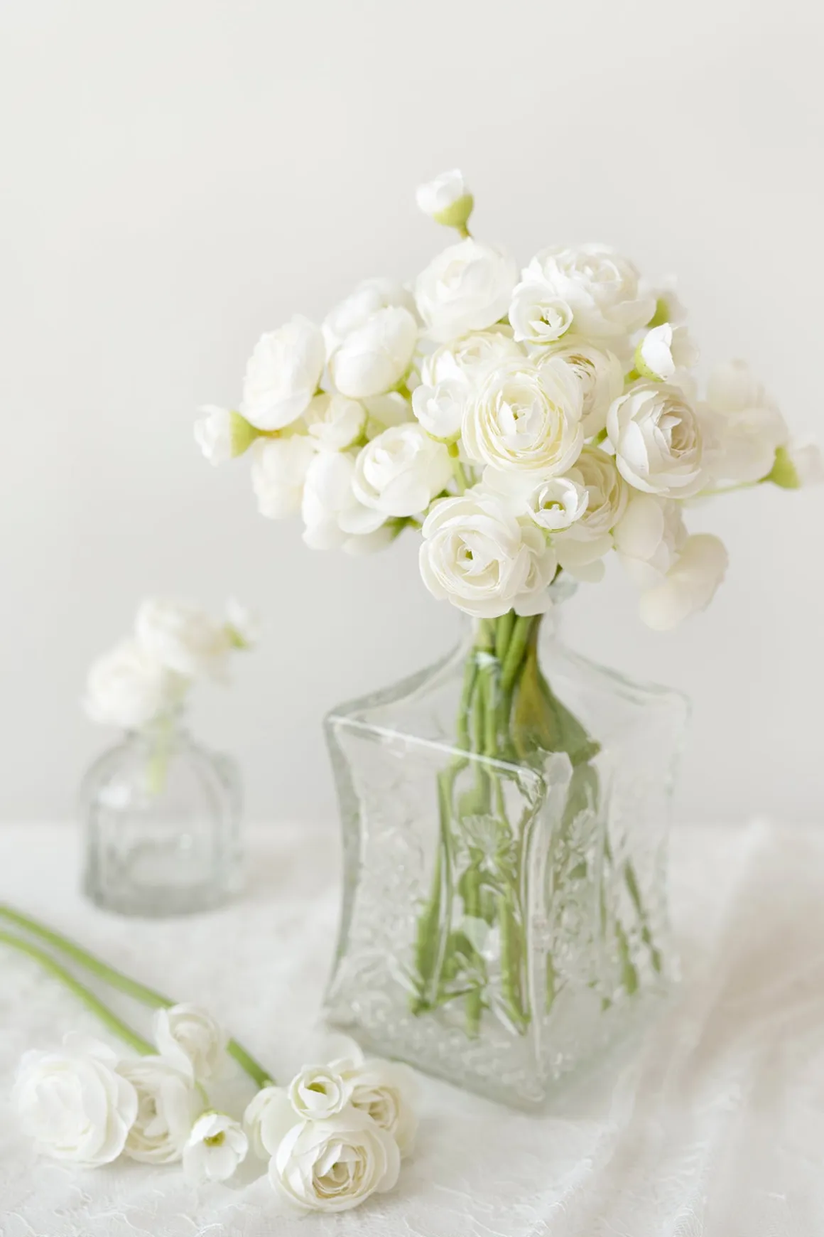Ranunculus Flowers with Stem