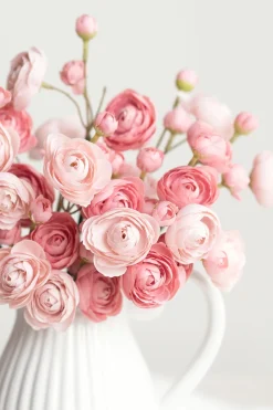 Ranunculus Flowers with Stem - Dusty Rose ( 18pcs )