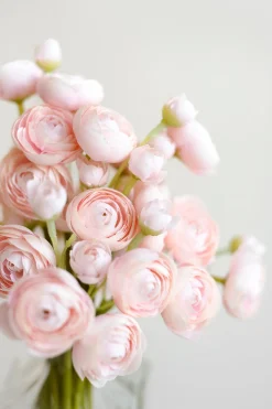 Ranunculus Flowers with Stem - Shabby Pink (18pcs)