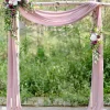 Rosa Banksiae Hanging Vine