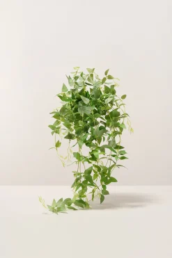 Silk Clematis Leaves Hanging Bush