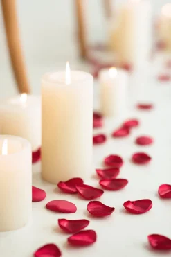 Silk Rose Petals