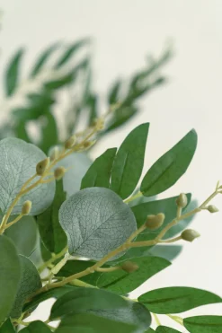 Silver Dollar Eucalyptus and Willow Leaf Spray