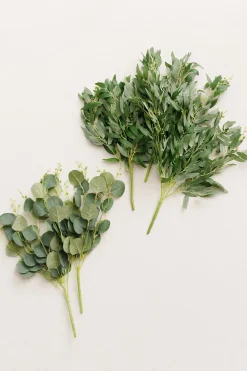 Silver Dollar Eucalyptus and Willow Leaf Spray