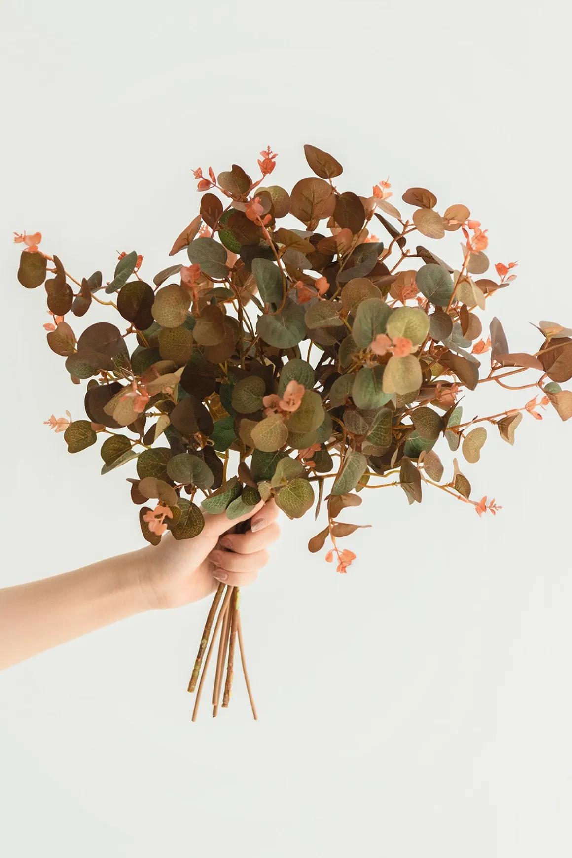 Terracotta Seeded Eucalyptus