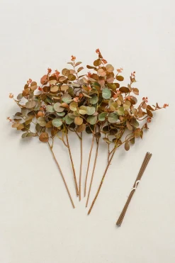 Terracotta Seeded Eucalyptus