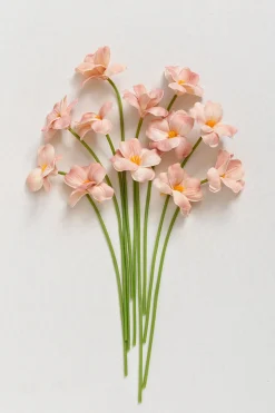 Tulips with Stem