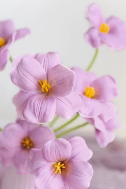 Tulips with Stem